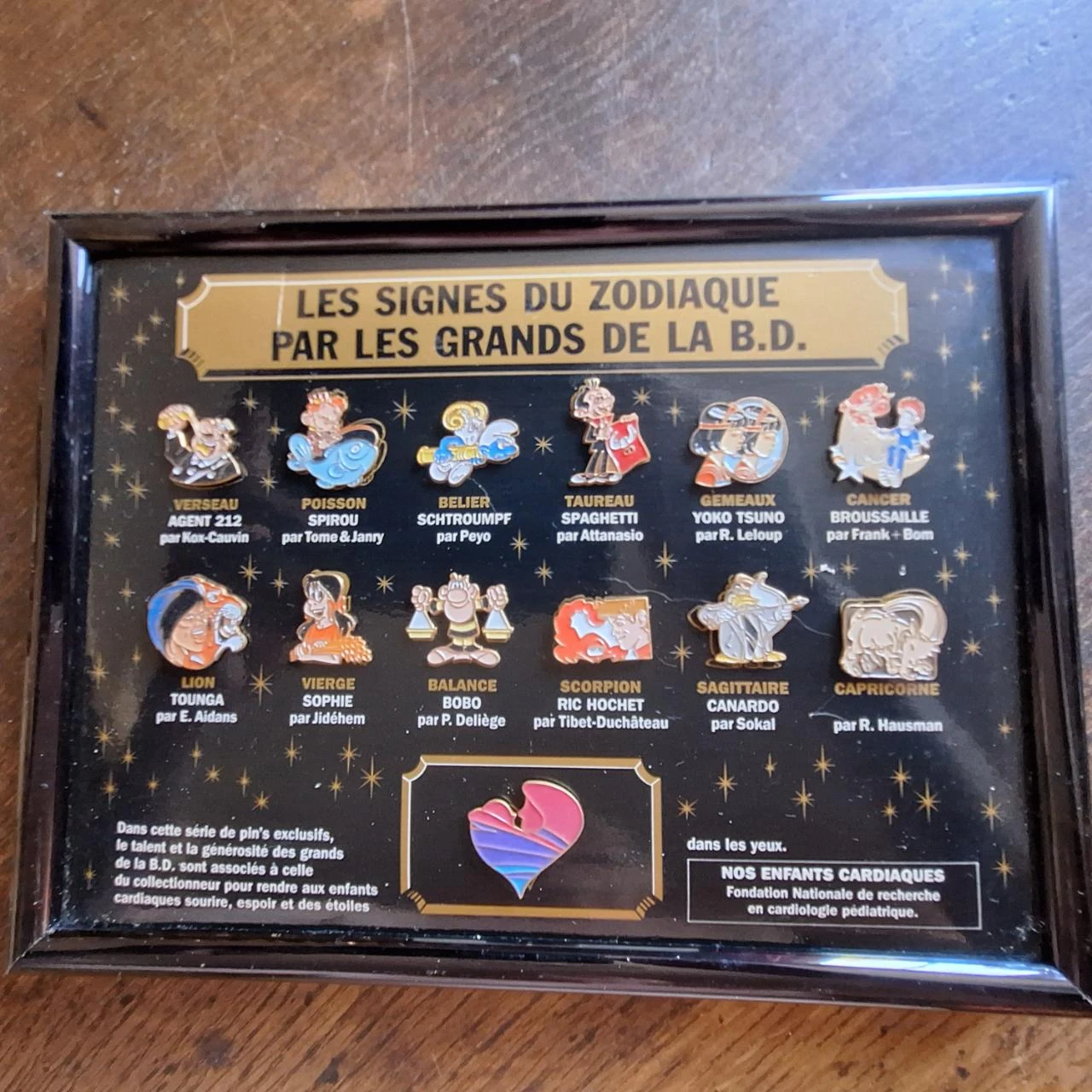 serie pins bande dessinée fnrcp